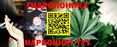 круглые Кингисепп
